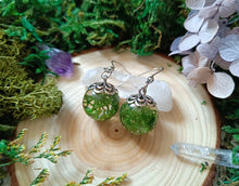 Load image into Gallery viewer, Green Reindeer Moss Drop Earrings