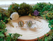 Load image into Gallery viewer, Two rings with green branch designs on a wooden surface surrounded by greenery