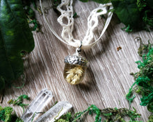 Load image into Gallery viewer, Acorn pendant with dried grass