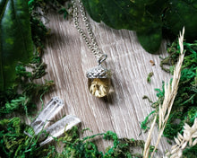 Load image into Gallery viewer, Acorn pendant with dried grass
