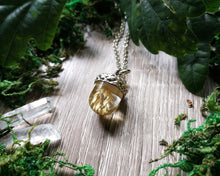 Load image into Gallery viewer, Acorn pendant with dried grass
