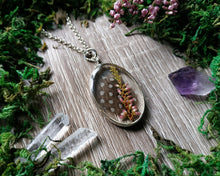 Load image into Gallery viewer, Heather pendant with real feather
