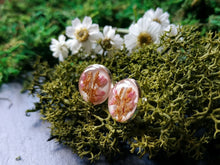 Load image into Gallery viewer, Round dried heather earrings
