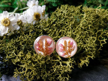 Load image into Gallery viewer, Round dried heather earrings
